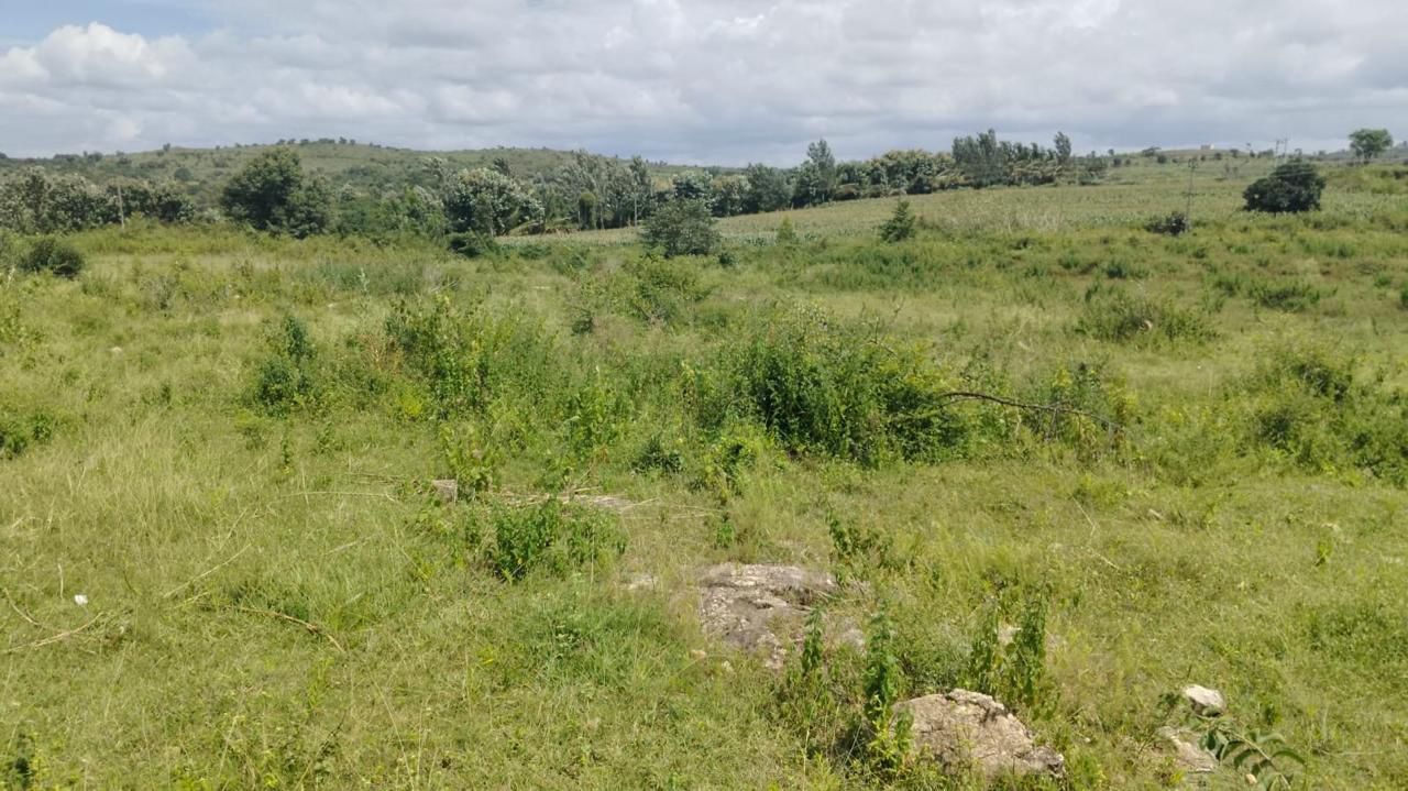 2 Acre channels water attached agri  Land for Sale – Belur (Towards Alur)